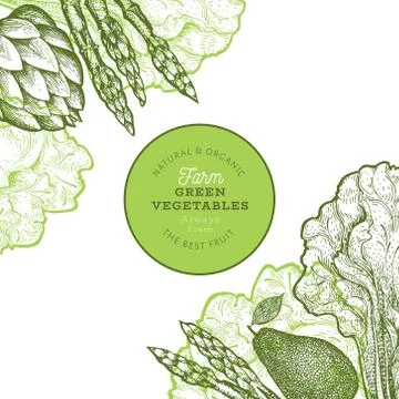 Green vegetables design template. Hand drawn vector food illustration. Engrav Stock Illustration