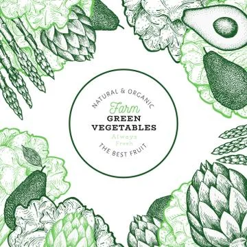 Green vegetables design template. Hand drawn vector food illustration. Engrav Stock Illustration
