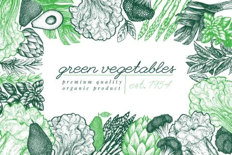 Green vegetables design template. Hand drawn vector food illustration. Engrav Stock Illustration