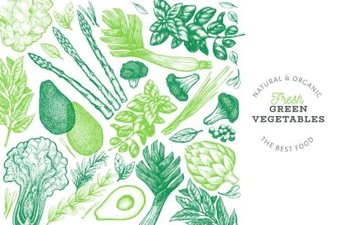 Green vegetables design template. Hand drawn vector food illustration. Engrav Stock Illustration