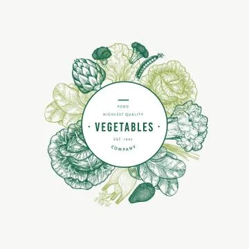 Green vegetables design template. Hand drawn vector food illustration. Engrav Stock Illustration