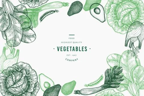 Green vegetables design template. Hand drawn vector food illustration. Engrav Stock-Illustration