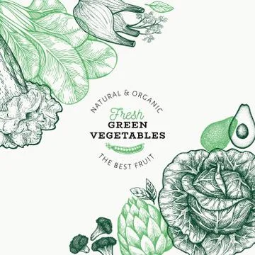 Green vegetables design template. Hand drawn vector food illustration. Engrav Stock Illustration