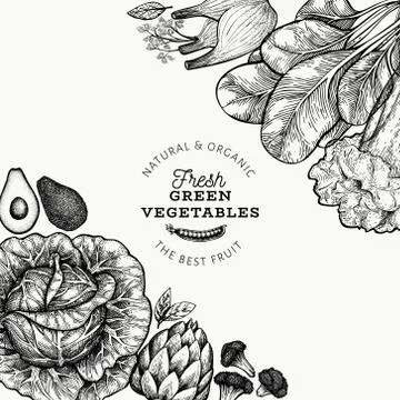 Green vegetables design template. Hand drawn vector food illustration. Engrav Stock Illustration