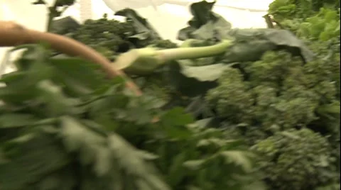 Green Vegetables Stock Footage 8679380