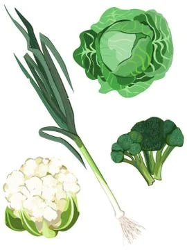 Green vegetables Stock Illustration