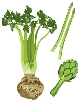 Green vegetables Stock Illustration