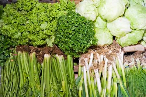 Green vegetables Stock-Fotos