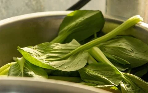Green vegetables in the pot Stock Photos