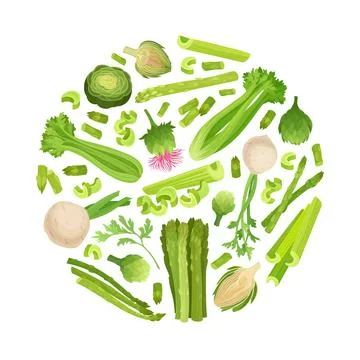 Green Vegetables Round Composition Design with Celery Asparagus and Artichoke Stock Illustration