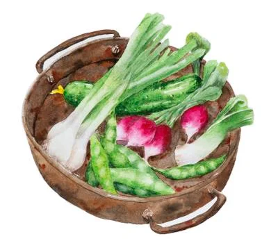 Green vegetables in rustic bowl Stock Illustration