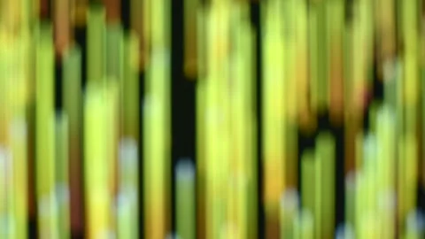 Green vertical down motion bokeh bamboo pattern background footage Stock Footage 138401587