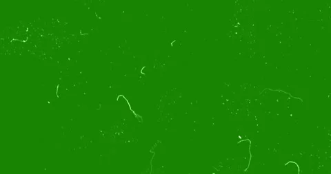 Green vhs glitch noise background realistic flickering, analog vintage TV Video stock 252184699