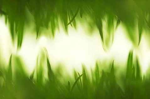 Green vibrant grass background Stock Illustration