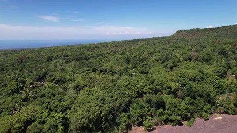 Green view from above of a forest and volcano in Bali Stock Footage 255872440