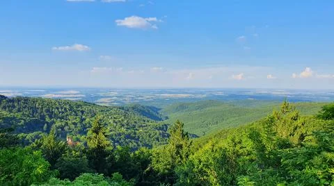 Green view Stock Photos