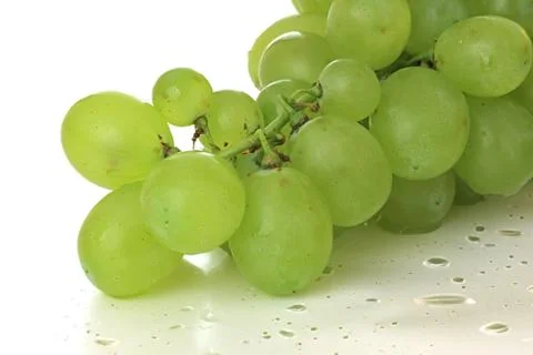 Green vine Stock Photos
