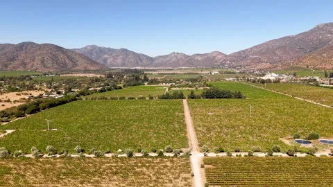 Green vineyard fields and agricultural plantation surrounded by mountains 스톡 동영상 342049738
