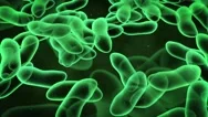 Green Viruses Or Bacteria Zoom Out Stock Footage