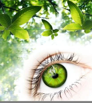 Green Vision Stock Photos