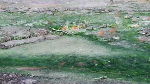 Green volcanic stream flowing over rocks Stock Footage 128205843