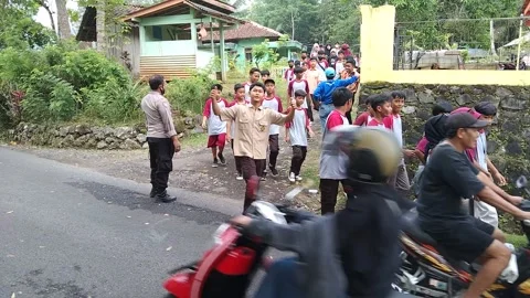 Green walk Stock Footage 231586514