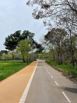 Green Walking path Stock Photos