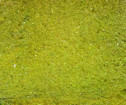 Green wall background Stock Illustration