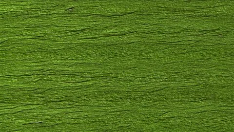 Green wall background or texture. Abstract background and texture for design. Stock Illustration