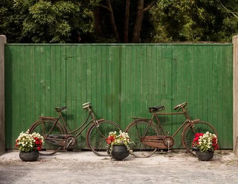 Green wall bicycles Stock Photos
