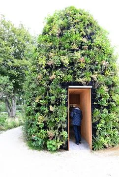 Green wall, eco friendly vertical garden on building. Stock Photos