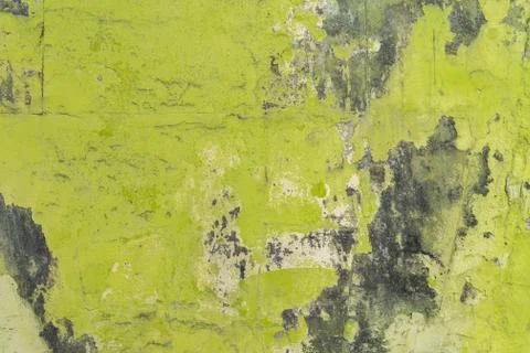 Green wall with mold background Фото