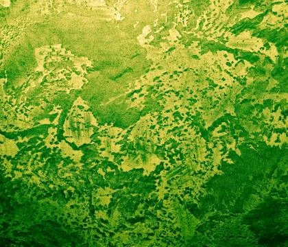 Green wall 스톡 사진