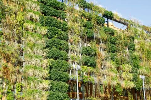 Green wall Stock Photos