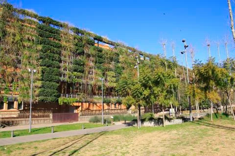 Green wall Stock Photos