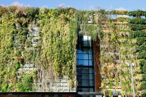 Green wall Stock Photos