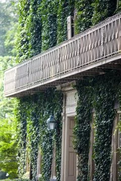 Green wall Stock Photos