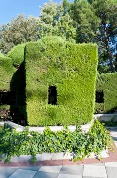 Green wall. Stock Photos