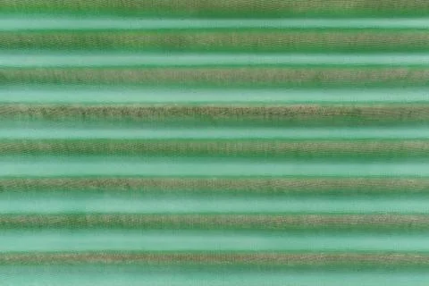 Green wall Stock Photos