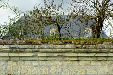 Green wall Stock Photos