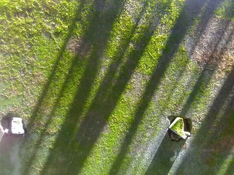 A Green Wall Stock Photos