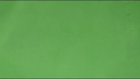 Green wall with reflections of water light shadows Stock Footage 310638655
