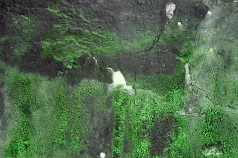 Green wall texture or background Stock Photos