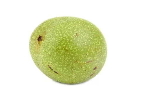 Green walnut isolated on white background Stock Photos
