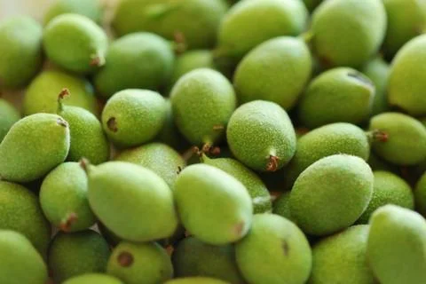 Green walnut Stock Photos