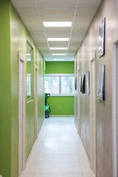 Green ward Stock Photos