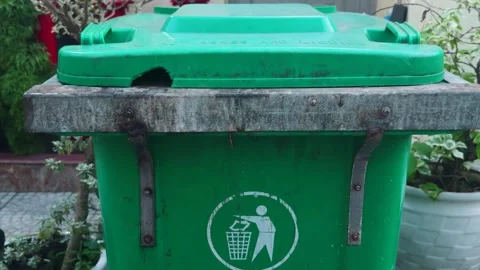 Green waste bin standing outdoors with a clear symbol for garbage disposal and Stock Footage 336555864
