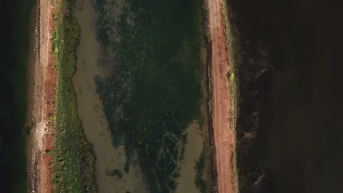 Green water with brown ground path over fishery, aerial footage Stock Footage 88243185