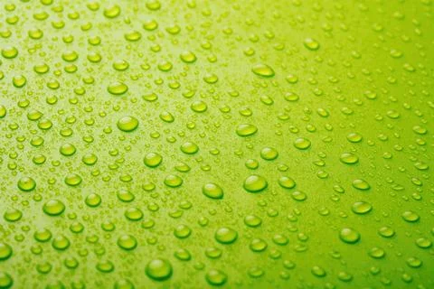 Green water drops background Stock Photos