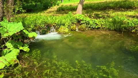 Green water flows gently over rocks. Vrmdza Lake hike. Serbia Stock Footage 338024001